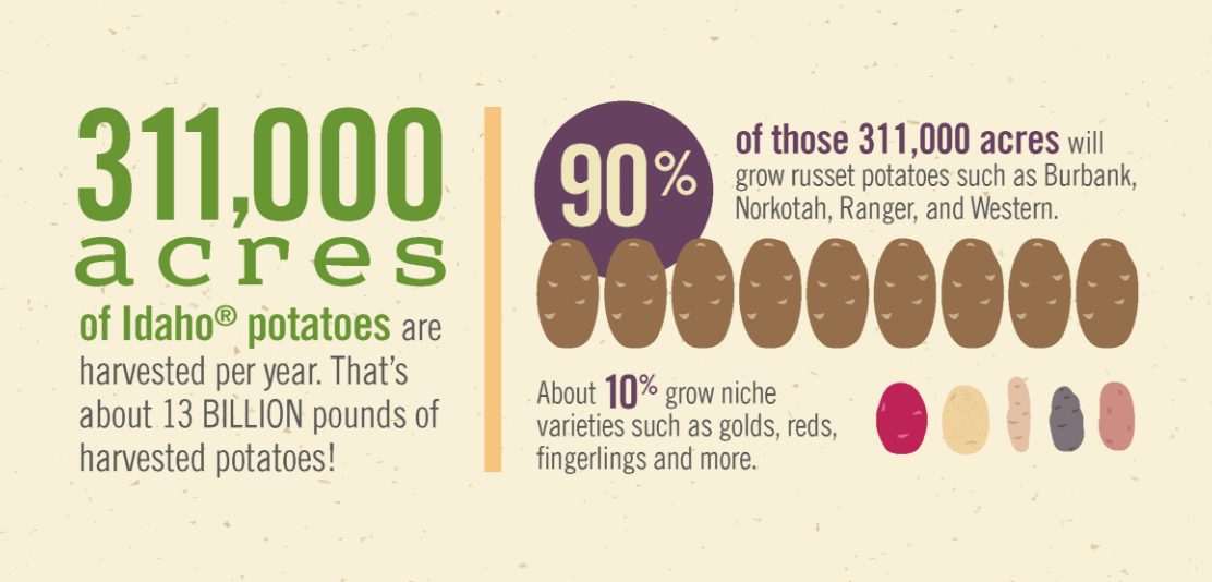 Harvested Acres of Potatoes Per Year Infographic
