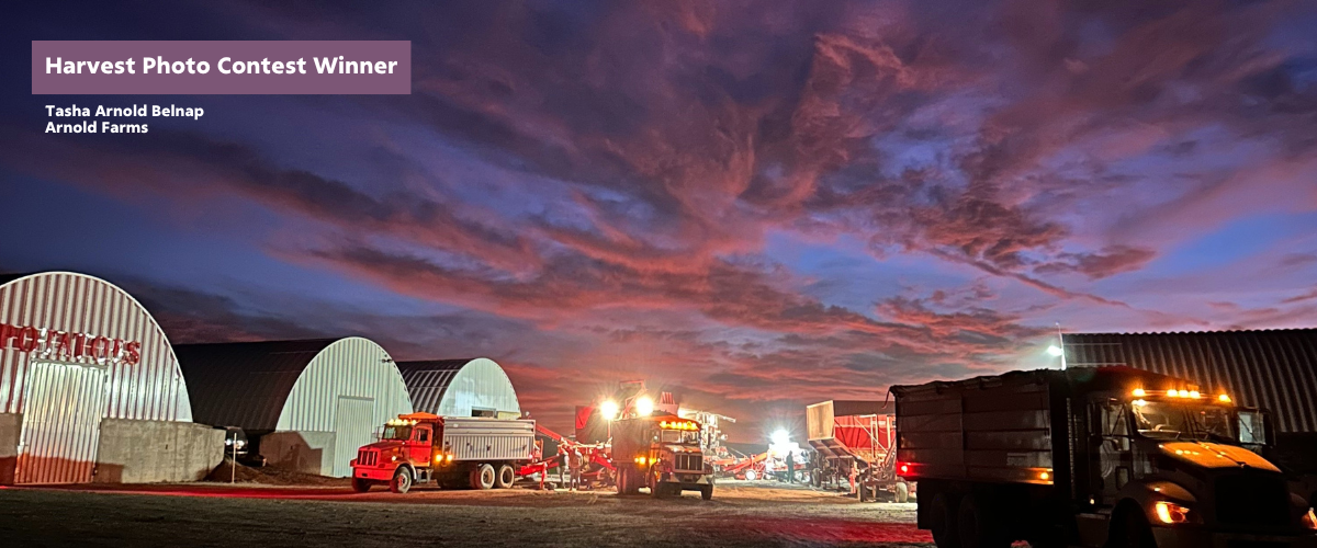 2024 Harvest Photo Contest Winner