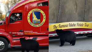 One Spud And 72 Cubs: The Big Idaho® Potato Truck Visits Bear World During Its First Harvest Tour
