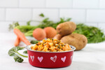 Potato & Salmon Dog Food