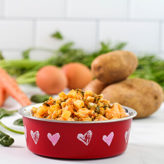 Potato & Salmon Dog Food
