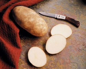 MOST COMMON QUESTIONS ABOUT POTATO NUTRITION REVEAL MENU OPPORTUNITIES