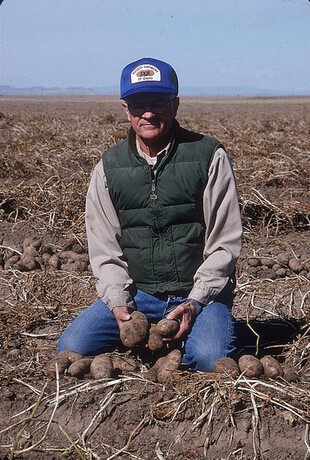 Del Reybould in the field with potatoes