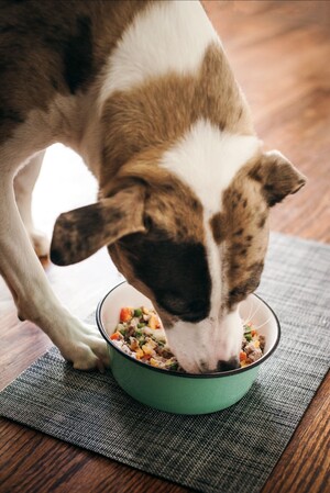 In Recognition of National Pet Month… New Idaho® Potato Recipes for Your Pup