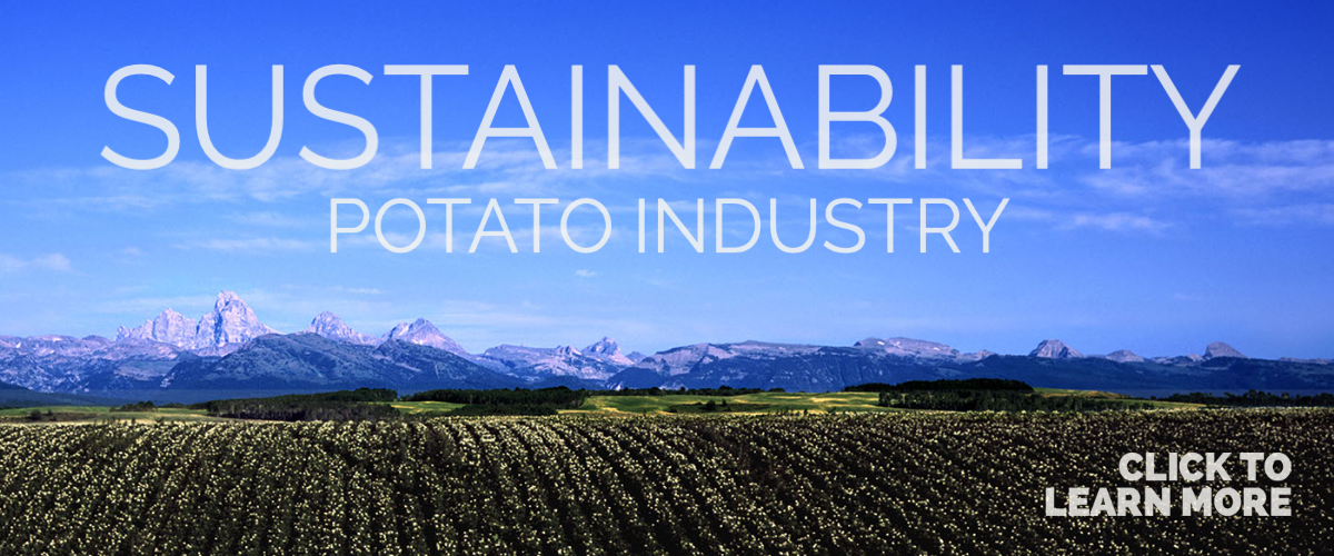 Potato Sustainability