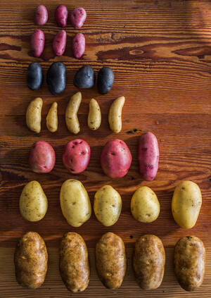 WHY IDAHO? POTATO LOVER’S MONTH IS A GOOD TIME TO FIND OUT!