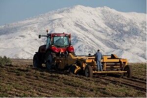2011 Idaho Potato Crop Marks the 75th Anniversary for the Idaho Potato Commission