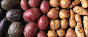 Idaho Grows More Than Just Russets