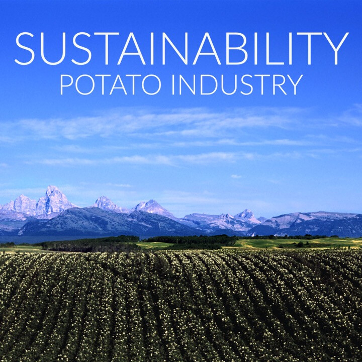 Sustainability - Potato Industry