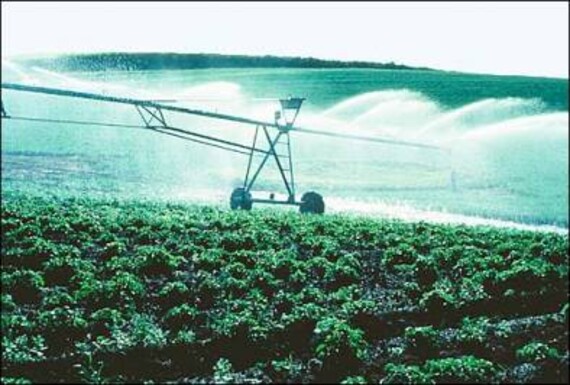 Carefully measured irrigation of Idaho potato field.