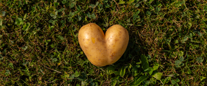A Trusted Relationship: Potatoes, AHA, and ADA