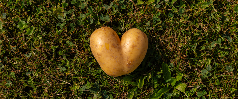 A Trusted Relationship: Potatoes, AHA, and ADA