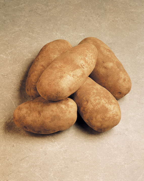 Five Idaho Russet Burbank Potatoes
