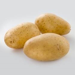 My Yukon Gold Potatoes Taste Earthy | Idaho Potato Commission